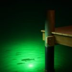 Dock illuminated by green underwater light, showing fish swimming.