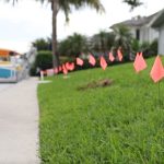 Small orange flags line a green grassy slope beside a sidewalk.