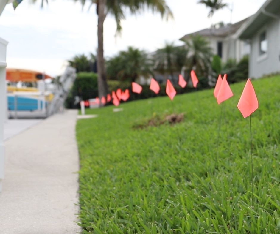 Small orange flags line a green grassy slope beside a sidewalk.