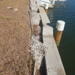 Eroded shoreline with cracked concrete near a calm water body.